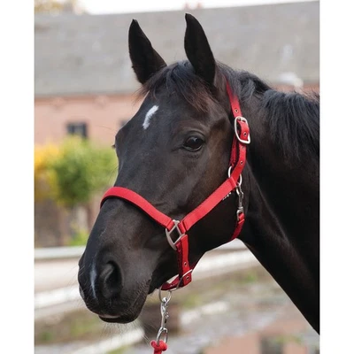 ELDORADO Nylon-Pferdehalfter Lea - rot - Kaltblut Halfter Führhalfter Stall