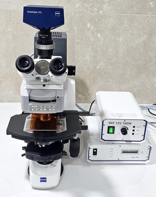 ZEISS AXIO Microscope