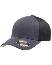 Flexfit Unisex Unipanel Cap FREE SHIPPING!
