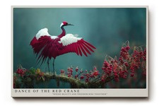 Paul Sinus Wandbild Dance of the Red Crane   ...