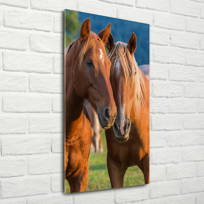 Tableau Déco Cheval Sur Verre Trempé 50x100 Cm - Style Moderne, Cadre Brun