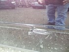 Bild 12 von 12
