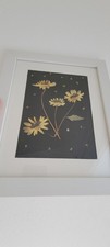 Framed Pressed Yellow Flower Botanical Wall Art White Frame 9.5" x 11.5"