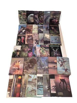 44 ISSUES 1980-1989 Florida Wildlife Magazine LOT Hunting Fishing Birds COMPLETE