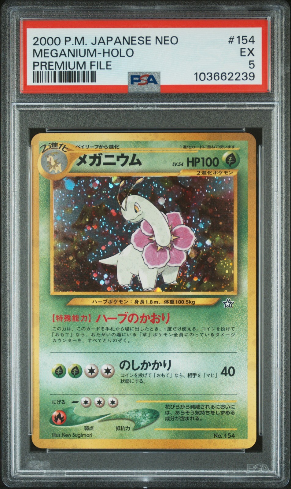 Meganium - PSA 5 - 2000 Pokemon Japanese Neo - Premium File - Holo - #154