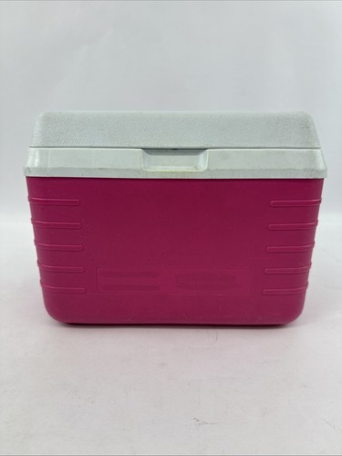 Vintage 1990 Rubbermaid Personal Lunch Box Cooler #2901 - rosa caldo - Foto 1 di 12