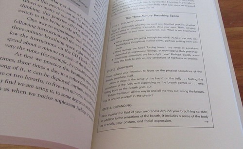The Mindful Way Through Depression ~ Mark Williams Zindel Segal +CD HERE in MELB - Imagen 11 de 12