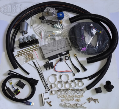 #ad Propane LPG Gas Conversion Kit for 3 4Cylinder Sequential Injection Petrol Cars AU $455.00