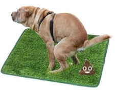 Pet Dog Toilet Mat Indoor Restroom Training Grass Potty Pad Loo Tray PadUK