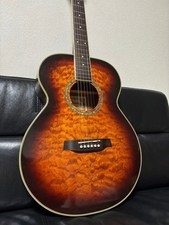 Ibanez acoustic guitar strings replaced hard case USED