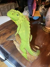 Green Hand Painted Iguana On Driftwood