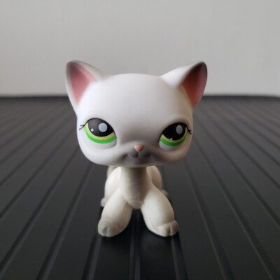 Littlest Pet Shop Katzen Short Hair #5 #106 #228 #816 Hasbro Authentisch LPS