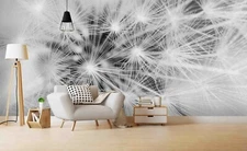 3D Closeup Dandelion Wallpaper Wall Mural Removable Self-adhesive Sticker 1396