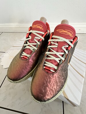 Size 9 - Nike LeBron 21 Queen Conch for sale online | eBay