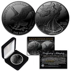 BLACK RUTHENIUM 1 oz .999 Fine Silver 2025 American Eagle US Coin w/ Deluxe Box