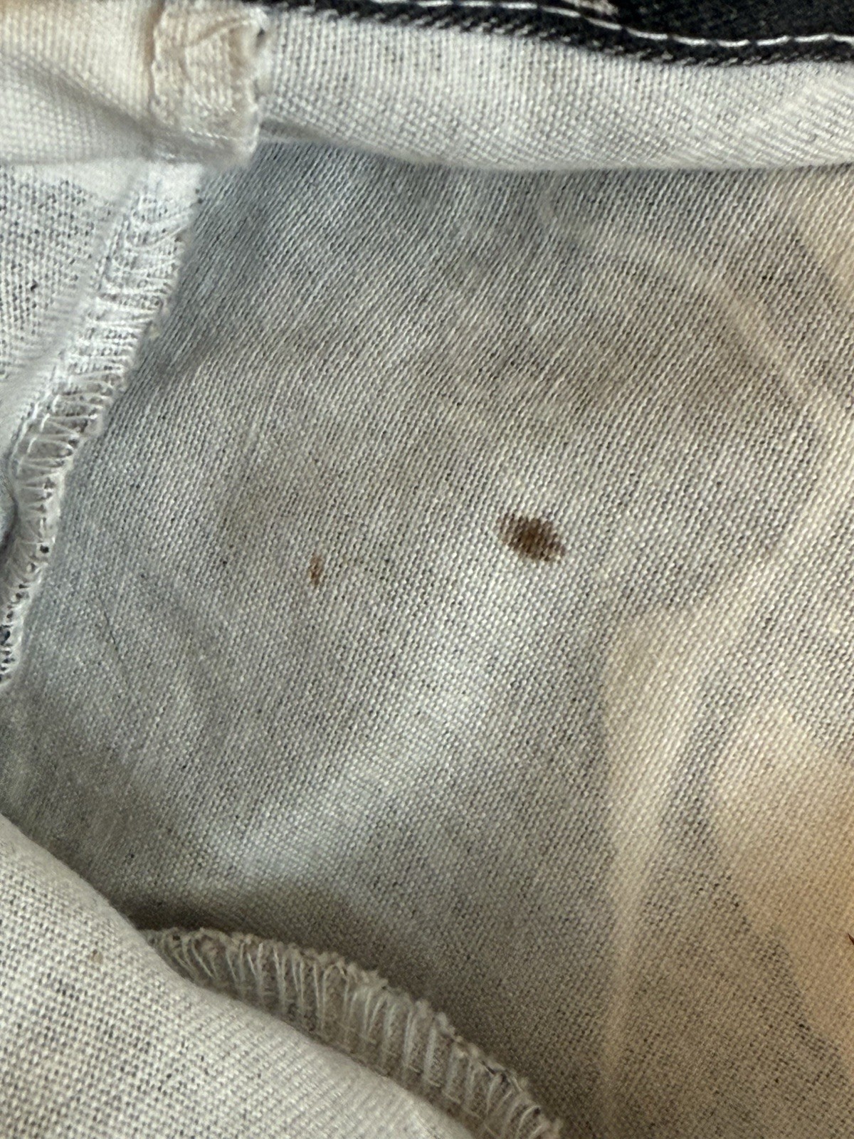 Picture 8 of 8