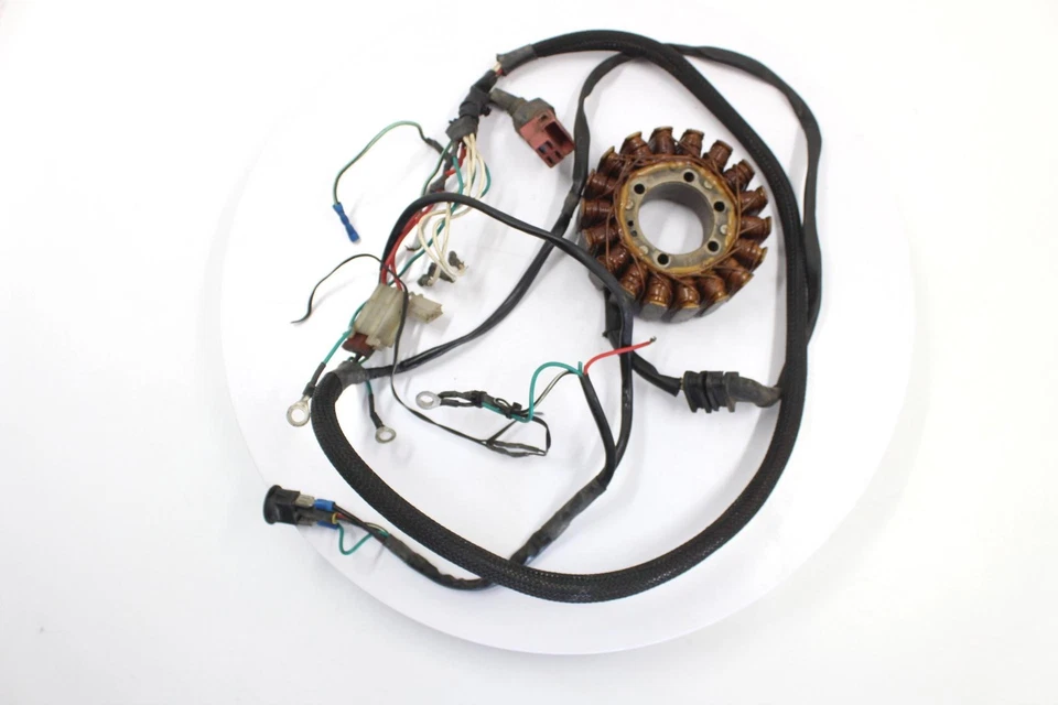 Honda CBR900RR 1995 OEM GENERADOR DE ESTATOR ALTERNADOR MAGNÉTICO Foto 3 de 4