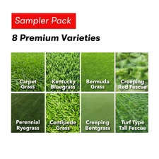 Lawn Grass Seeds Sampler Pack - Bermuda, Centipede, Rye, Bentgrass, 8 Varieties