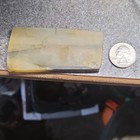 South Dakota Petrified Wood  Slab, Cabbing Lapidary 60g — photo 6