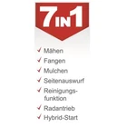 Bild 3 von 13