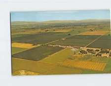 Postcard Aerial View Hop Ranch Yakima River Valley Washington USA