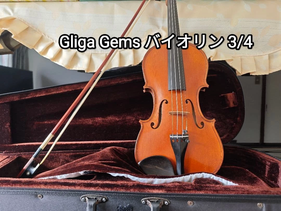良彩アンティーク調】 グリガ GLIGA Genova3 バイオリン セット 【公式 