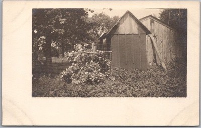 Vintage 1910s Real Photo RPPC Postcard OUTHOUSE / Garden View / Unused