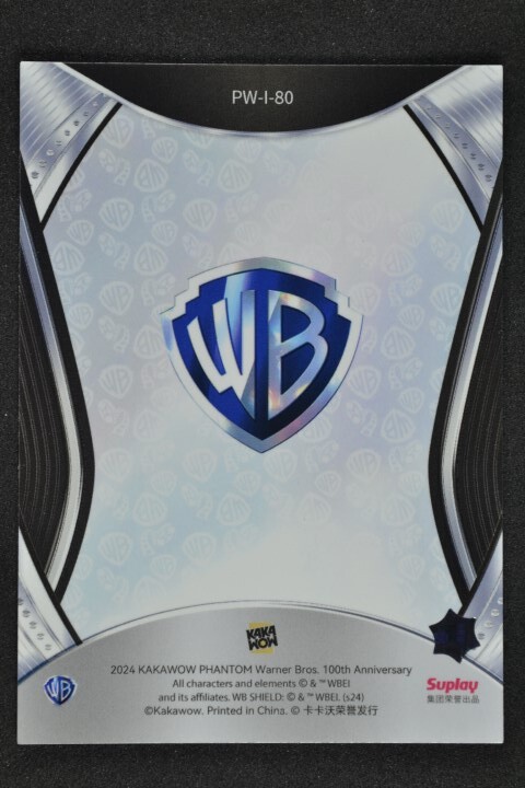Mr. Swackhammer 2024 Kakawow Phantom Warner Bros. 100th Silver #PW