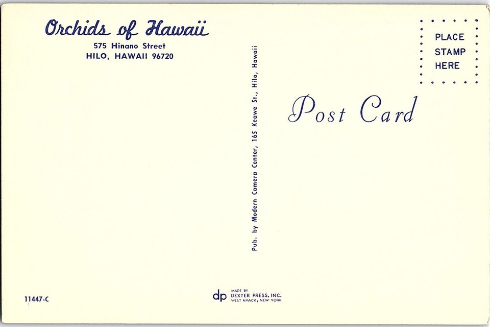 Chrome HOUSE SCENE Hilo Hawaii HI AH8573 eBay