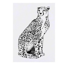 'Cheetah' Temporary Tattoos / Transfers TO00032211 