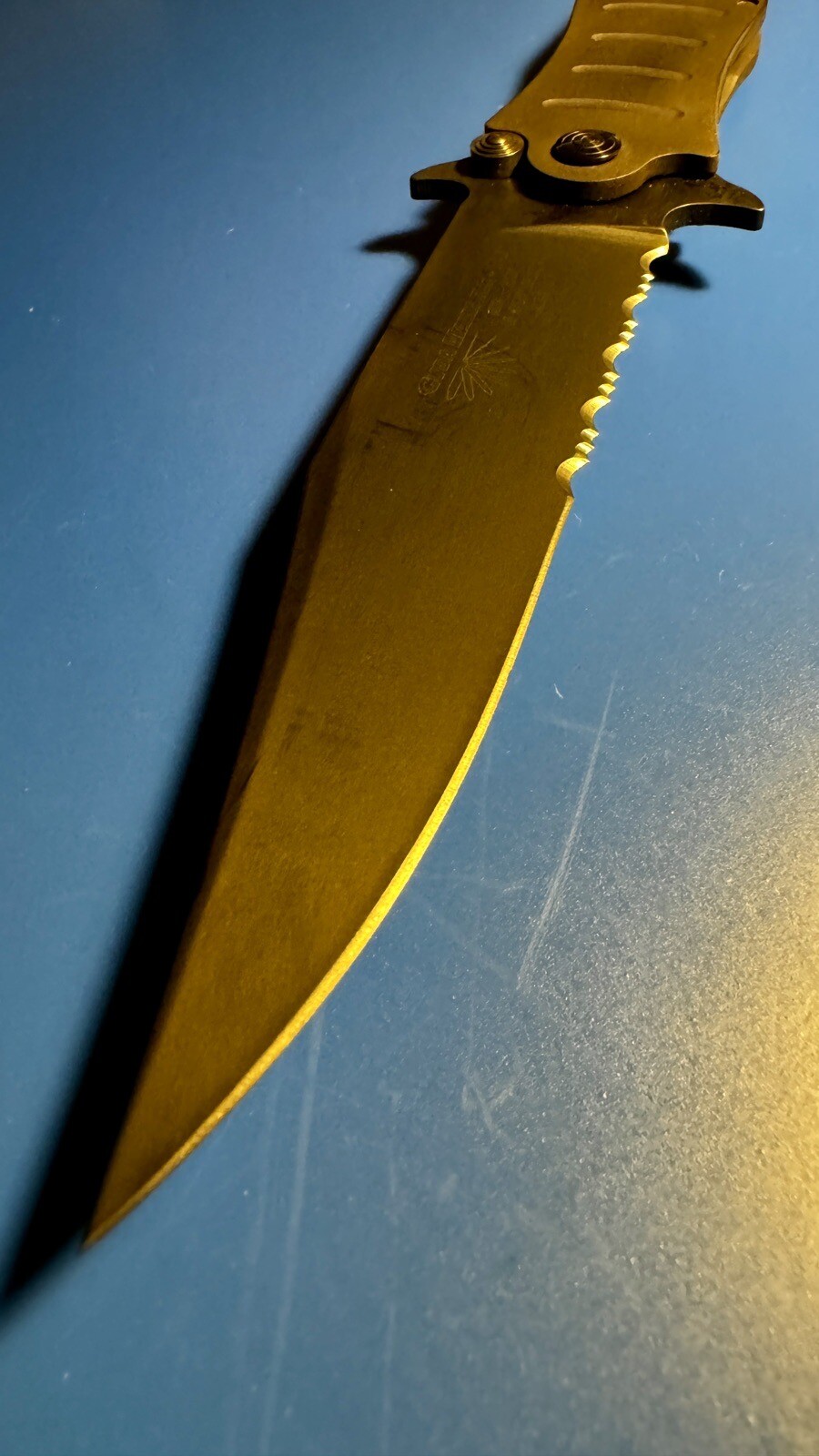Picture 6 of 7