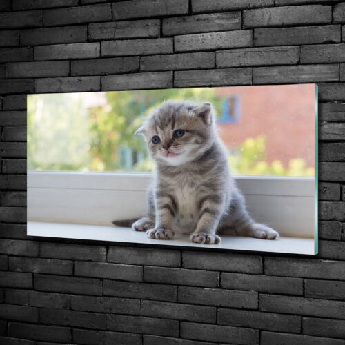 Glas-Bild Wandbilder Druck auf Glas 100x50 Deko Tiere Kleine Katze Fenster - Bild 1 von 6