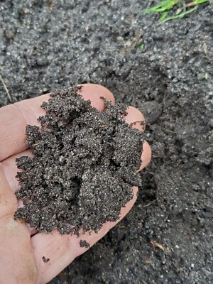 #ad Black Dirt Gardening Soil New Jersey Garden State NJ 5 lbs for 2 qt Planter $9.29
