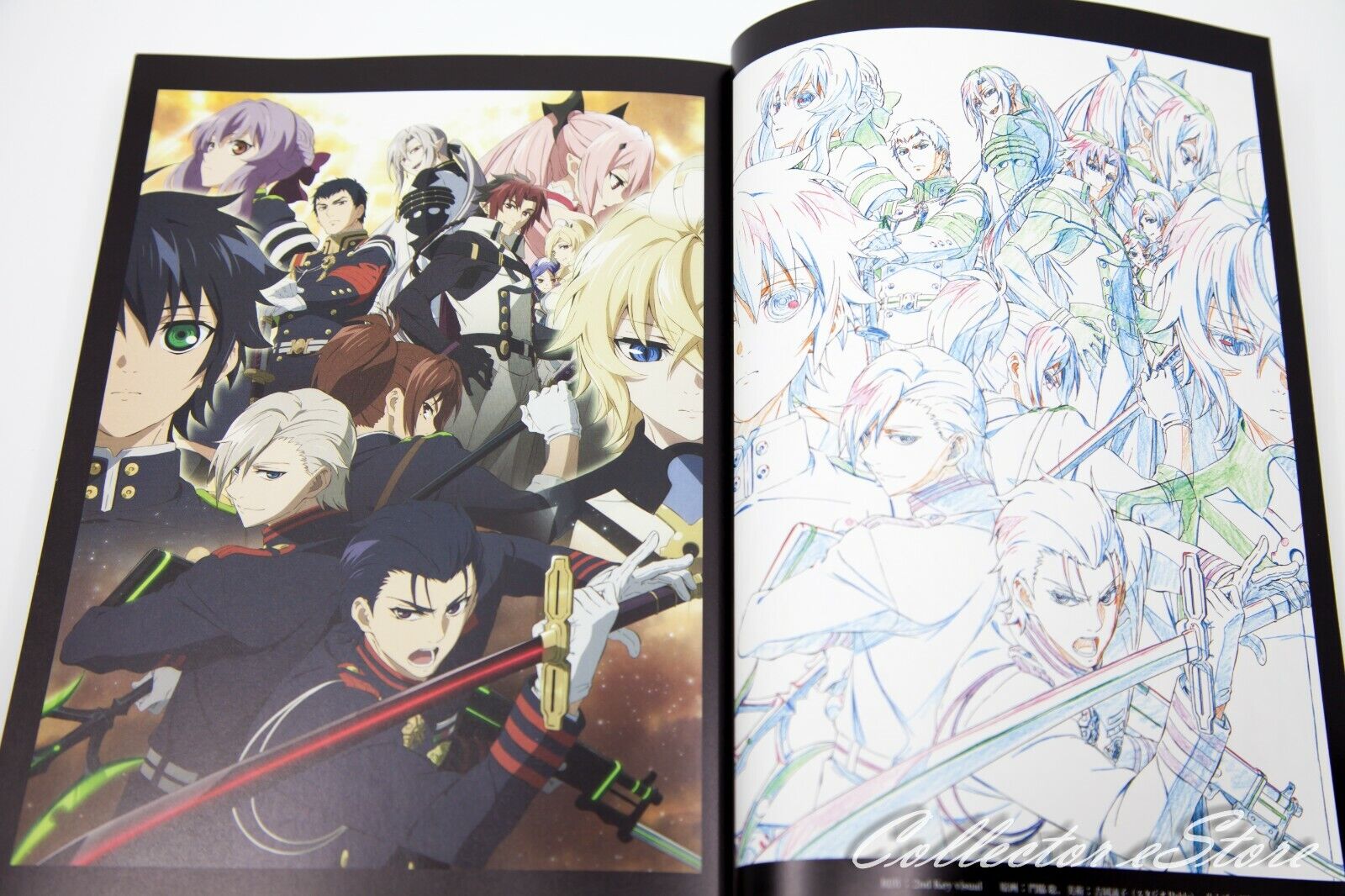  seraph of the end 25 Ed. 2022: 9786559604623: Books