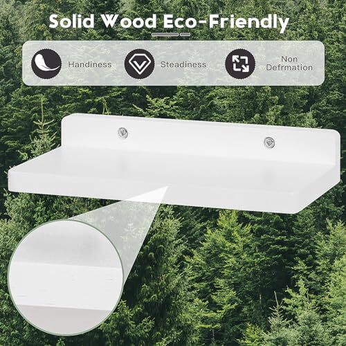 Small Floating Shelves for Wall,5x8.5 Inches Wall Shelf Set of 3