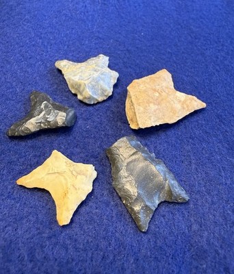 *5 DALTON BASES*  Assortment Early Archaic Authentic Arrowhead Dart Point Bases