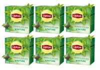 Lipton Green Tea Nature GrüNer Tee 6X 20 Teebeutel - GrüNtee Pyramiden