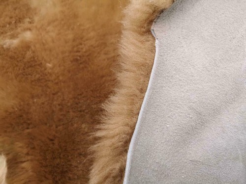 Echt Deutsche Merino Lammfell Schaffell Hellbraun Dichte Wolle Neu L - XXL - Bild 6 von 7