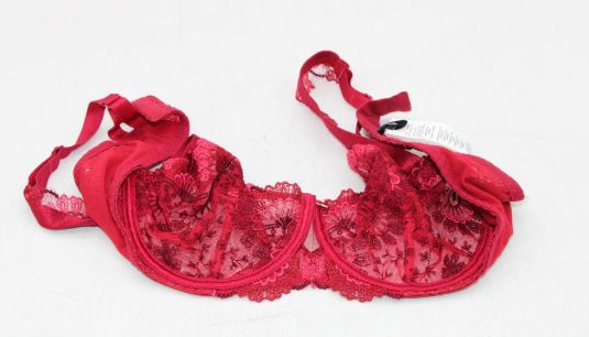 Aubade Half Cup Bra ART OF INK TD14 French Red 34D BNWT