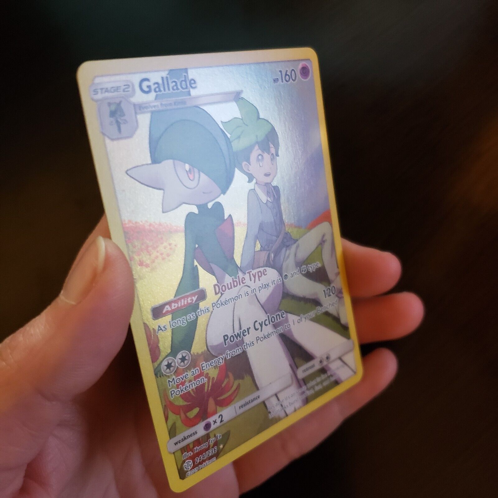 Pokémon tcg: Gallade (244/236) - SM12 Eclipse Cósmico em Promoção na  Americanas