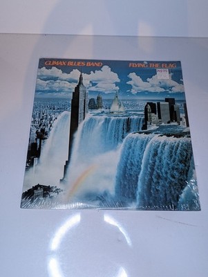 Climax Blues Band Flying The Flag BSK 3493 LP Vinyl WB Records