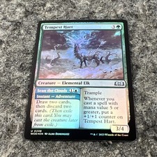 Magic the Gathering Tempest Hart Uncommon Foil Wilds of Eldraine