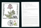 1981 Germany 60pf Water Gillyflower FDC Endangered Wild Flowers Maximum Postcard