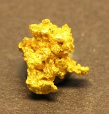 Gold specimen Crystallized Gold  0.45 Gram  Round Mtn. Mine  Nye Co. NV