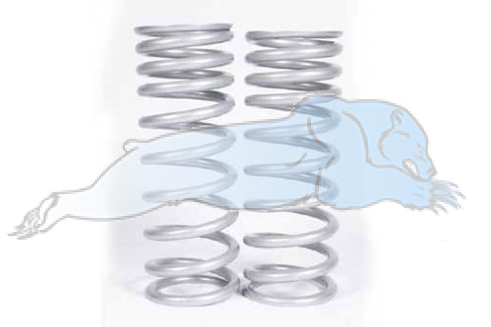 Landrover Discovery 2 Medium Load Front Springs (Pair) Terrafirma TF042   D2