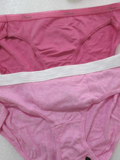 New 2 Ladies Hanes Cotton Bikini Panties Size 5 / S Rose Lavender