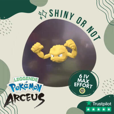 Geodude Shiny   Legends Pokémon Arceus 6 IV Max Effort Custom OT Leggende