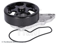 Blue Print Wasserpumpe MotorküHlung ADH29145 FüR Honda CR CN CL CM Accord K20A6