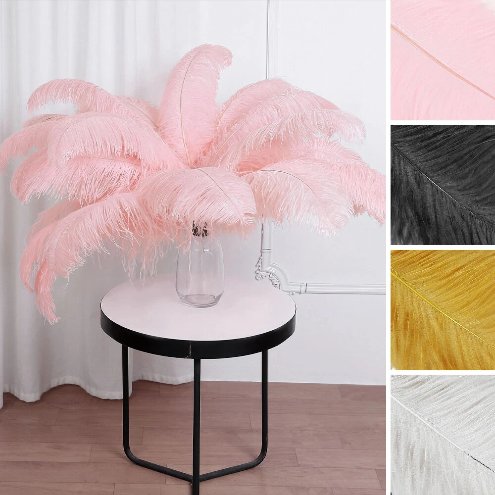 Baby Pink Ostrich Feathers Feather Centerpieces Wedding Centerpieces Feather  Decorations Feathers for Vases 