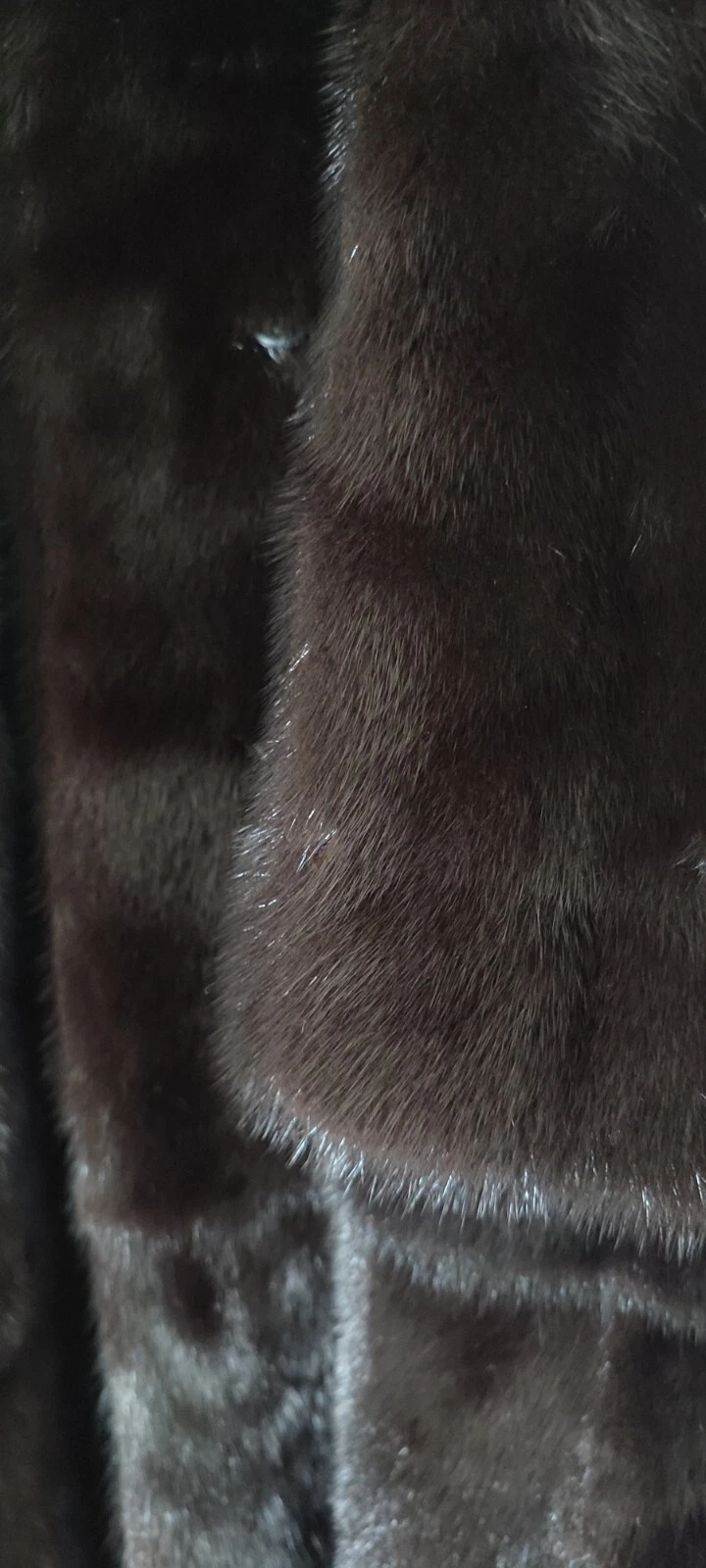 Foto 5 di 6